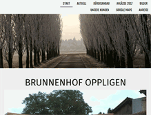 Tablet Screenshot of brunnenhof.ch